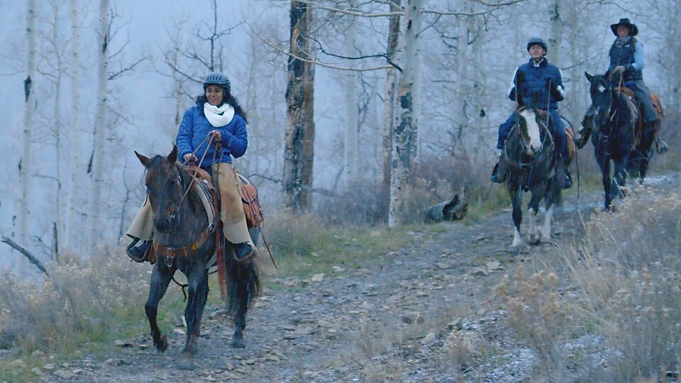 HORSES